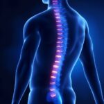 shutterstock_99045869